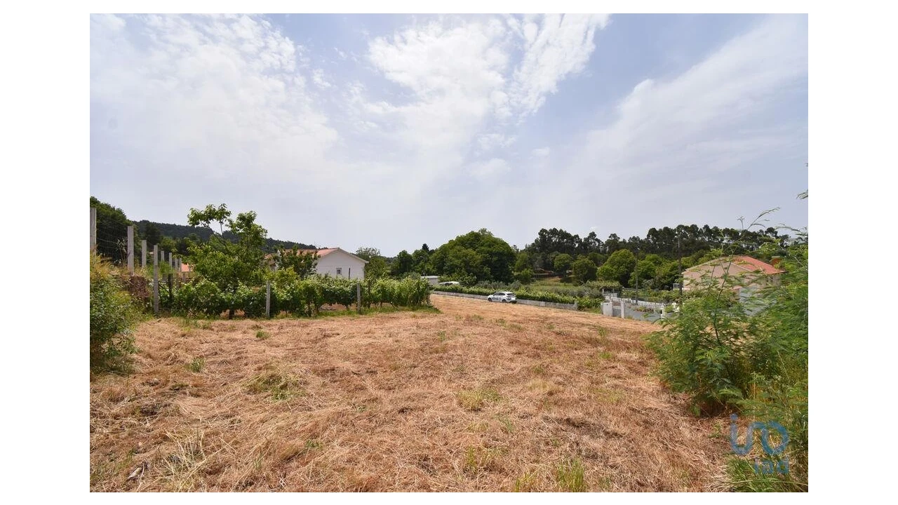 Terreno para Venda em Vila Nova Foto 12