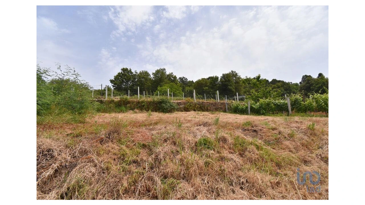 Terreno para Venda em Vila Nova Foto 11