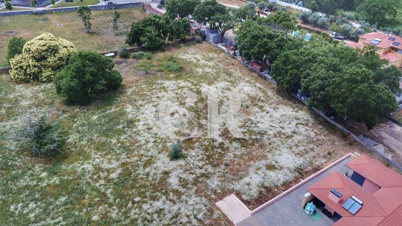 Terreno para Venda em Figueiró dos Vinhos e Bairradas Foto 5