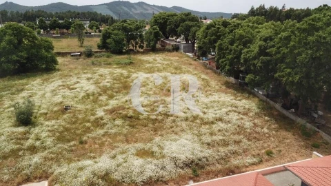 Terreno para Venda em Figueiró dos Vinhos e Bairradas