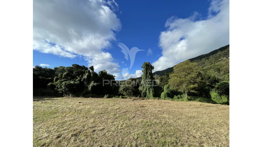 Terreno para Venda em Urzelina (São Mateus) Foto 3
