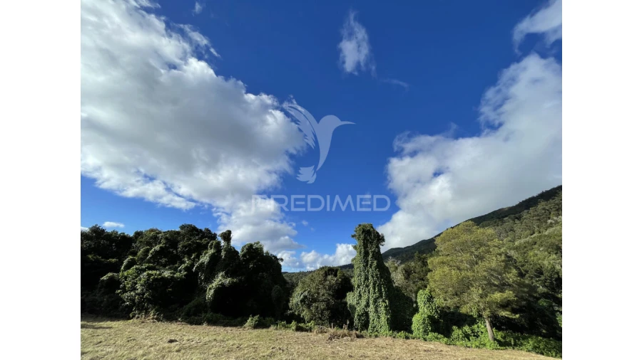 Terreno para Venda em Urzelina (São Mateus) Foto 4