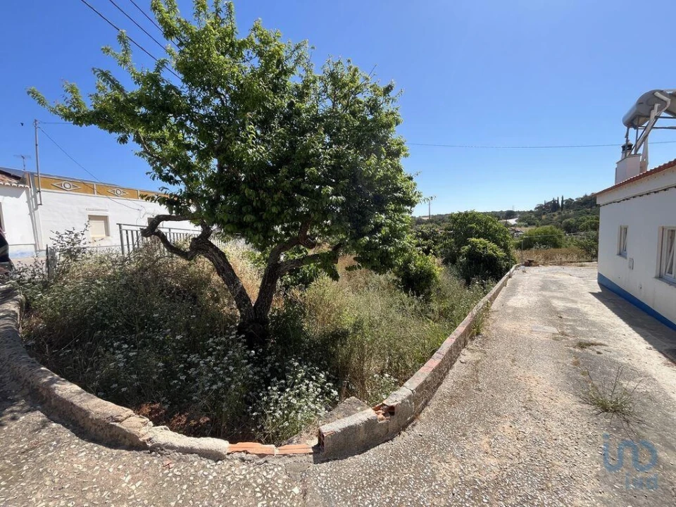 Terreno para Venda em Barão de São Miguel Foto 8
