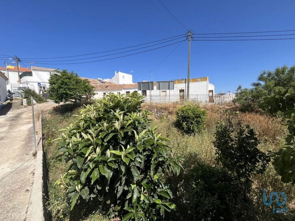 Terreno para Venda em Barão de São Miguel Foto 7