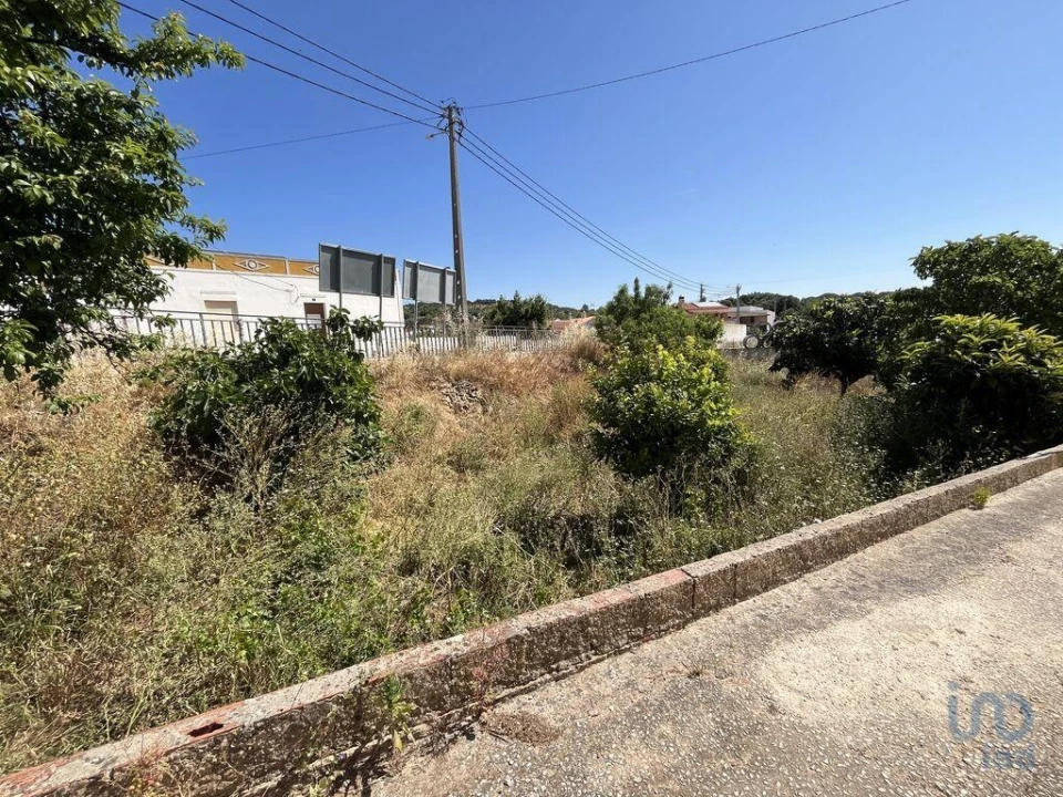 Terreno para Venda em Barão de São Miguel Foto 6