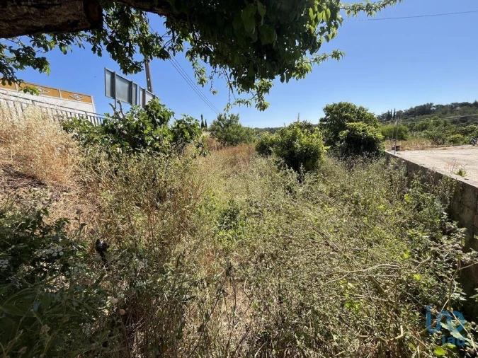 Terreno para Venda em Barão de São Miguel Foto 5