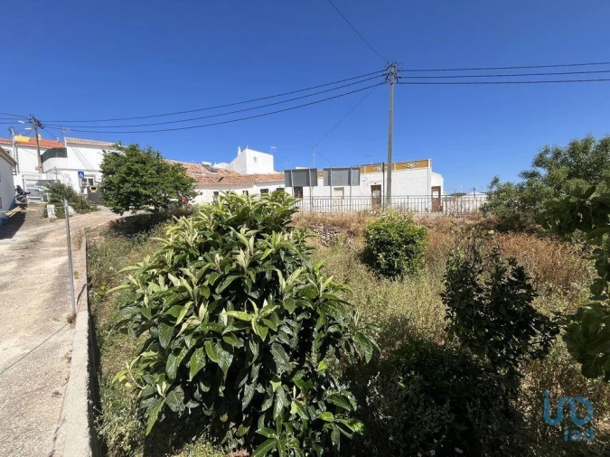 Terreno para Venda em Barão de São Miguel Foto 7