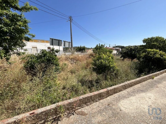 Terreno para Venda em Barão de São Miguel Foto 6