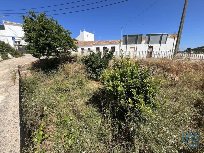 Terreno para Venda em Barão de São Miguel Foto 10