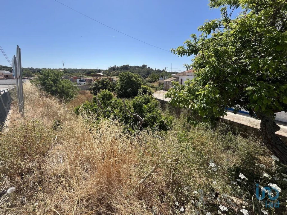 Terreno para Venda em Barão de São Miguel Foto 9