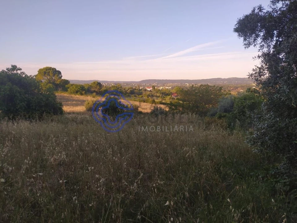 Terreno para Venda em Serra e Junceira Foto 4