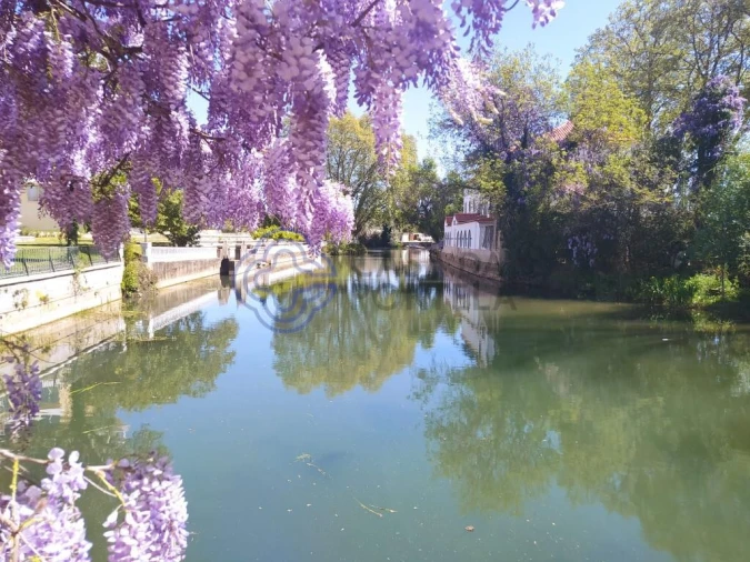 Terreno para Venda em Serra e Junceira Foto 21