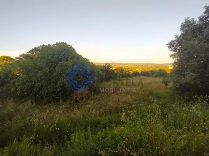Terreno para Venda em Serra e Junceira Foto 5