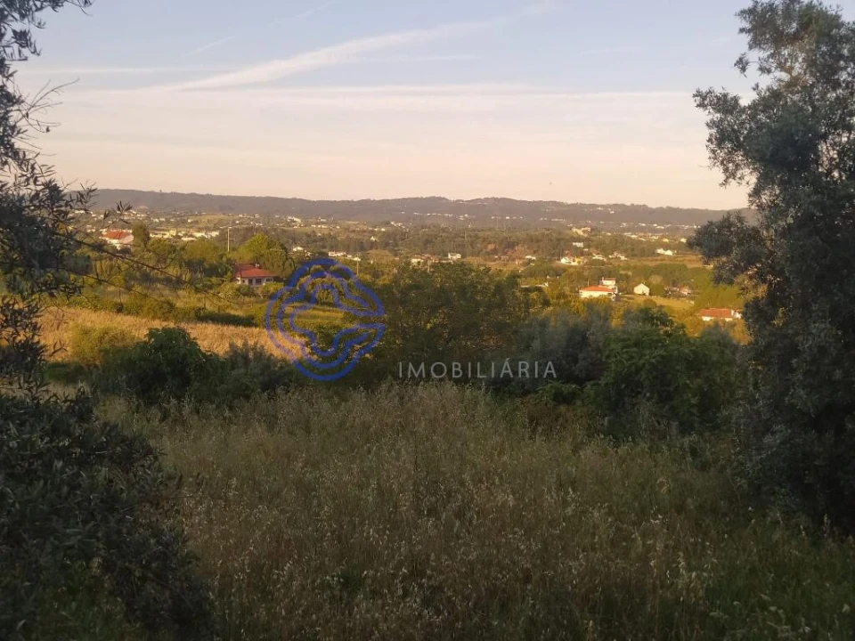 Terreno para Venda em Serra e Junceira Foto 1