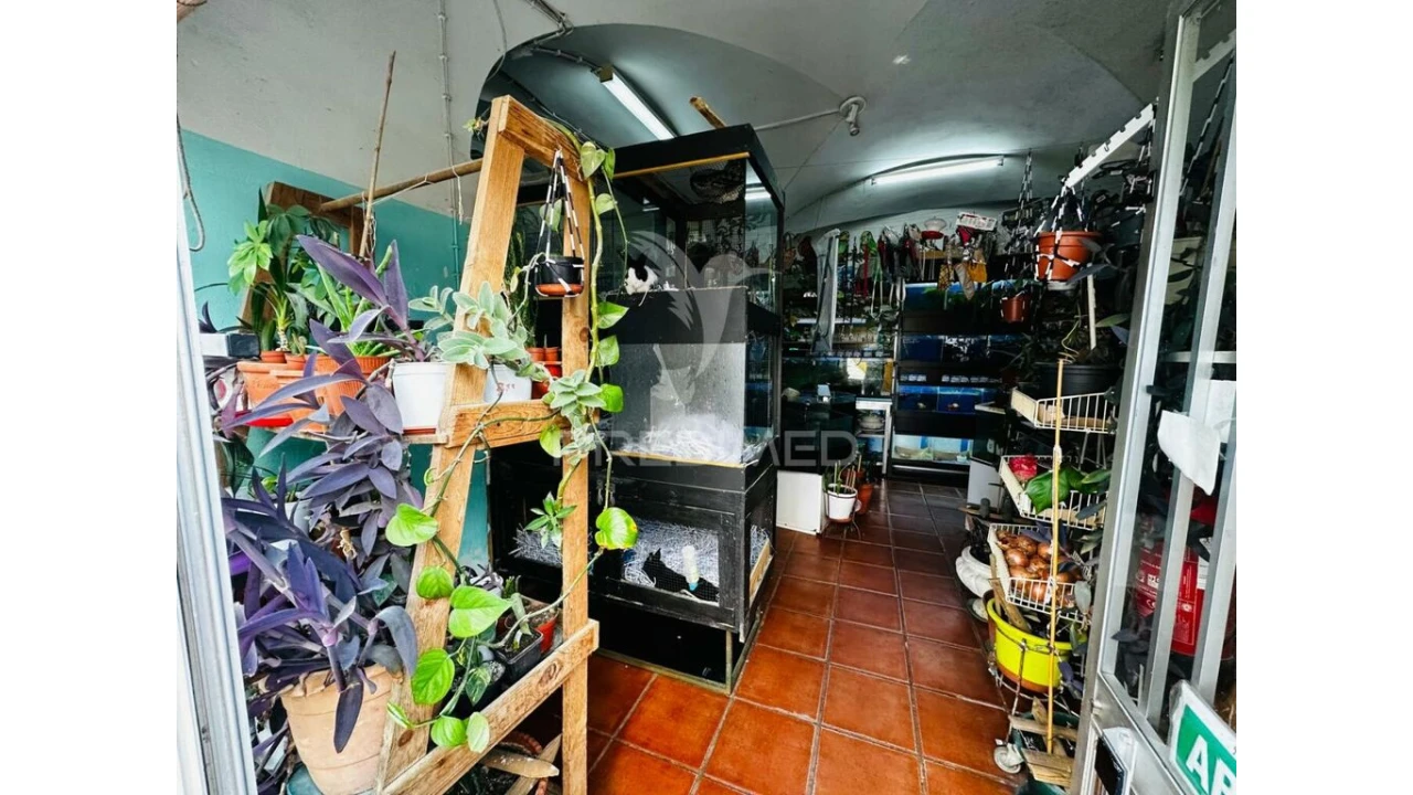 Loja para Arrendamento em Barbacena e Vila Fernando Foto 6