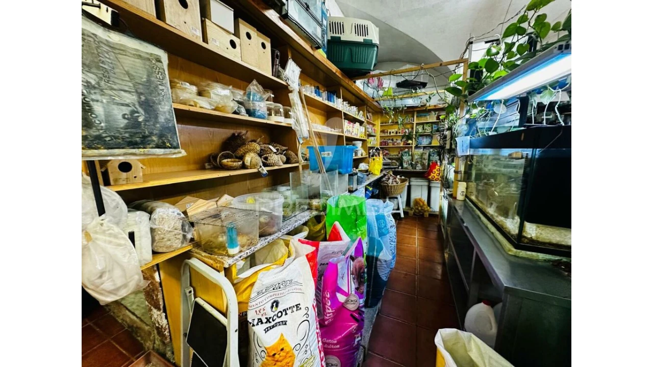 Loja para Arrendamento em Barbacena e Vila Fernando Foto 2