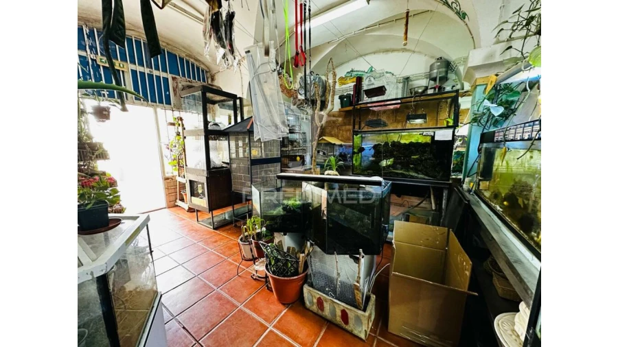 Loja para Arrendamento em Barbacena e Vila Fernando Foto 4