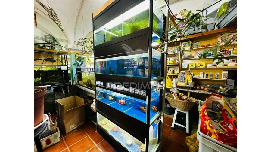 Loja para Arrendamento em Barbacena e Vila Fernando Foto 5