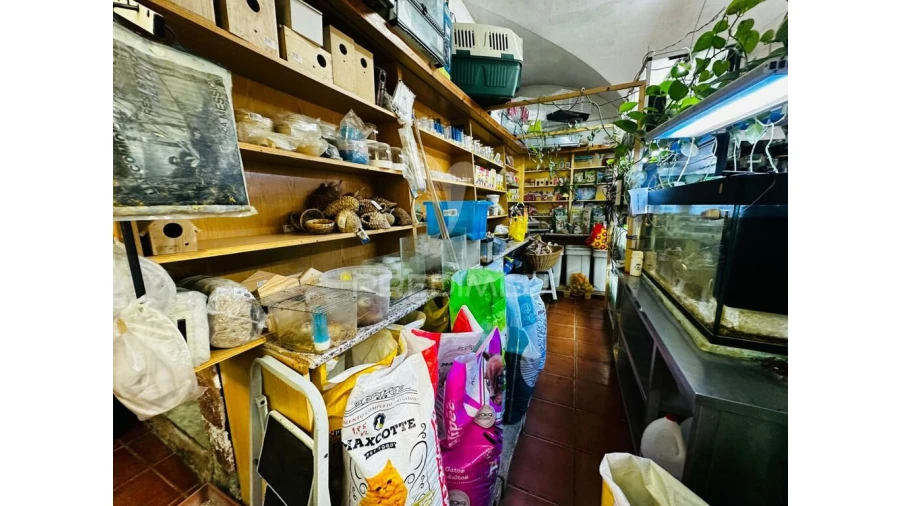 Loja para Arrendamento em Barbacena e Vila Fernando Foto 19