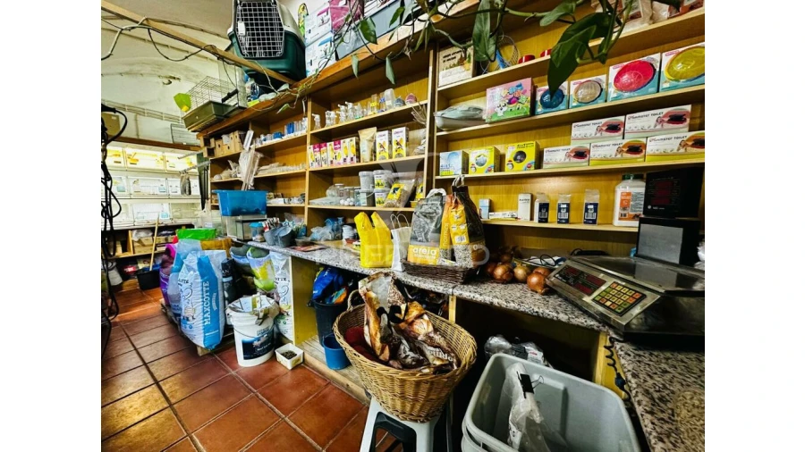 Loja para Arrendamento em Barbacena e Vila Fernando Foto 18