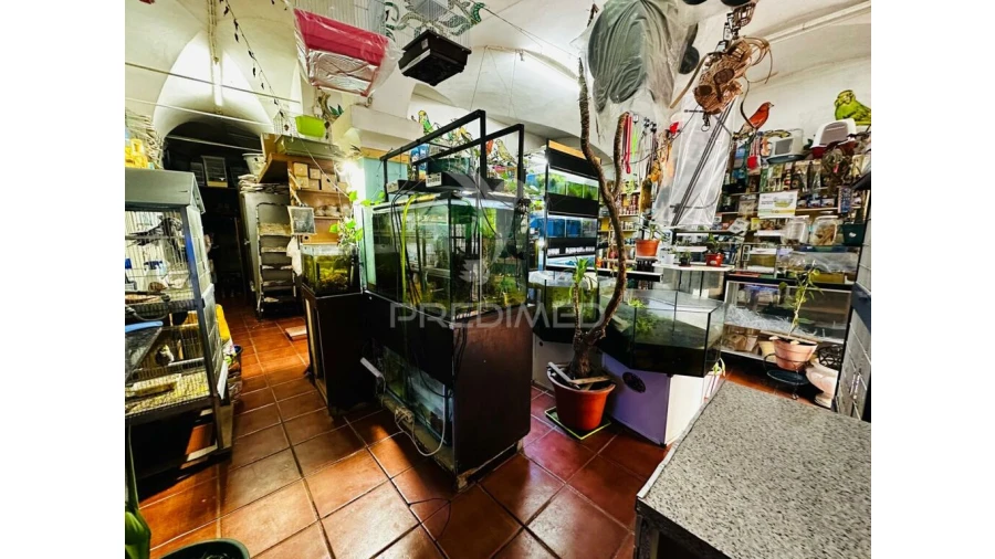 Loja para Arrendamento em Barbacena e Vila Fernando Foto 16