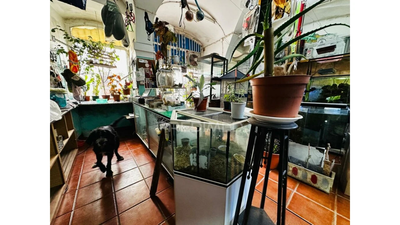 Loja para Arrendamento em Barbacena e Vila Fernando Foto 13