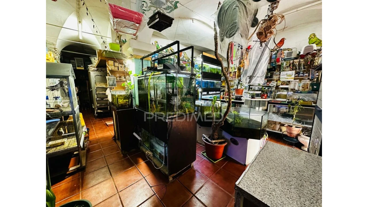 Loja para Arrendamento em Barbacena e Vila Fernando Foto 16