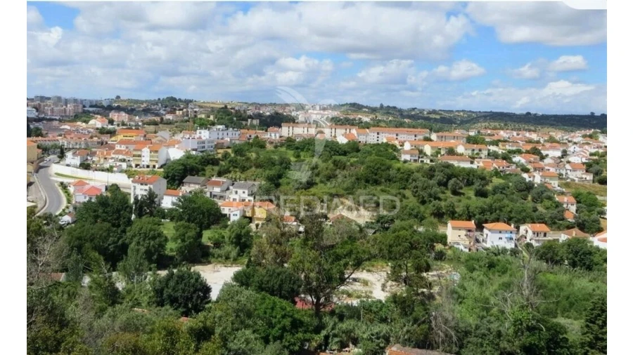 Terreno para Venda em Torres Novas (Santa Maria, Salvador e Santiago) Foto 18