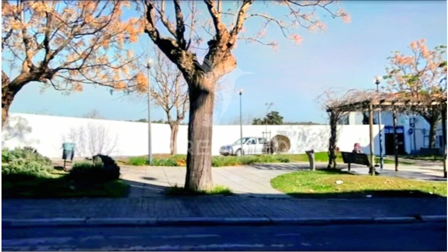 Terreno para Venda em Torres Novas (Santa Maria, Salvador e Santiago) Foto 10