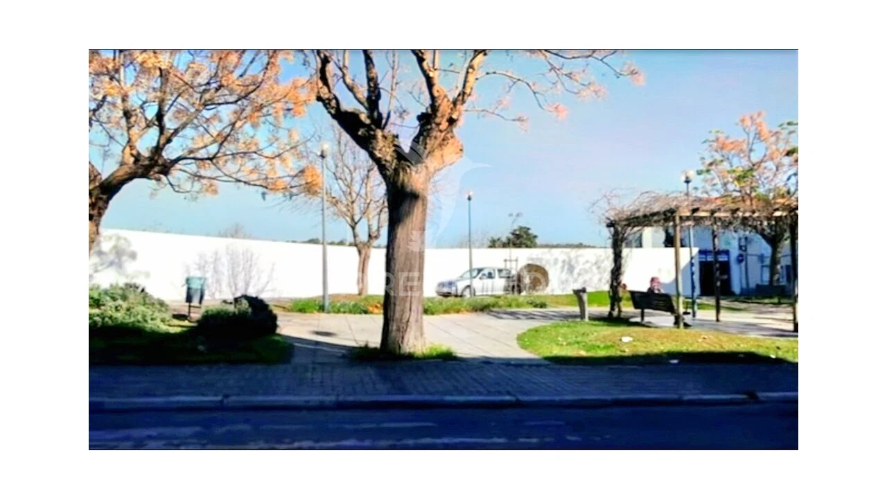 Terreno para Venda em Torres Novas (Santa Maria, Salvador e Santiago) Foto 10