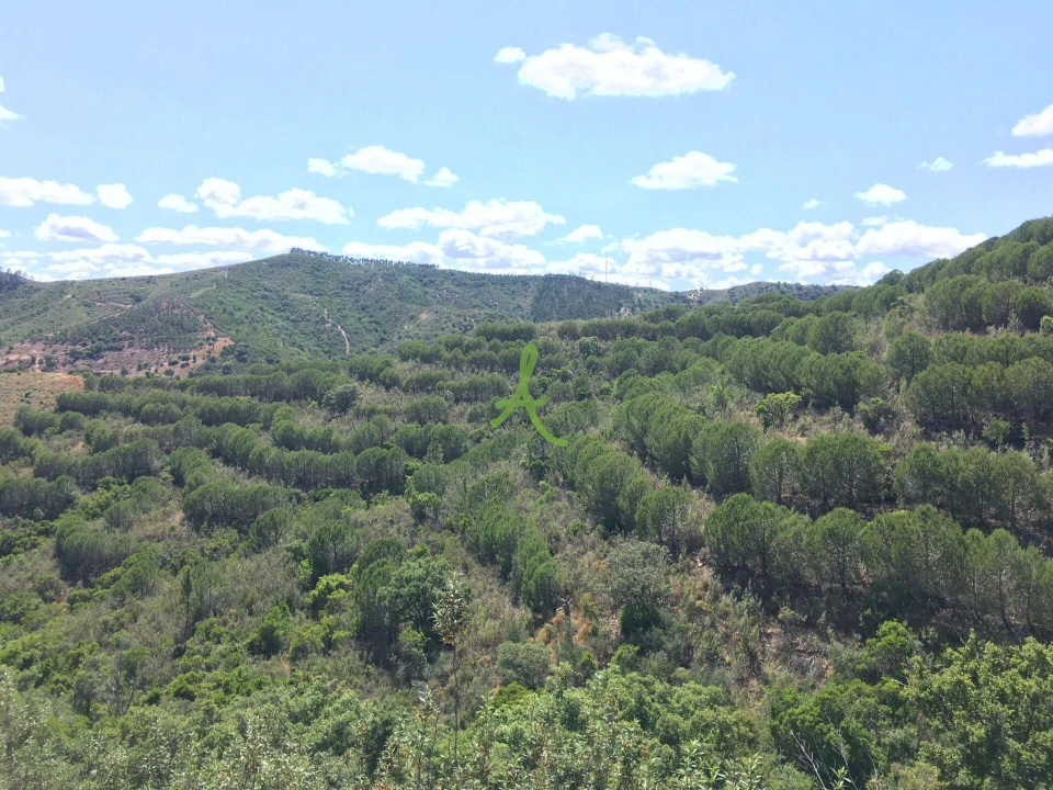 Terreno para Venda em São Bartolomeu de Messines Foto 5