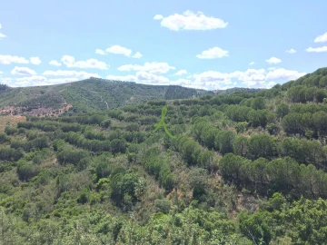 Terreno para Venda em São Bartolomeu de Messines