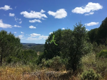 Terreno para Venda em São Bartolomeu de Messines