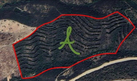 Terreno para Venda em São Bartolomeu de Messines