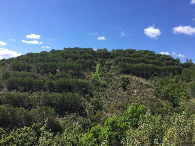 Terreno para Venda em São Bartolomeu de Messines Foto 6