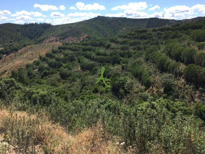 Terreno para Venda em São Bartolomeu de Messines Foto 4