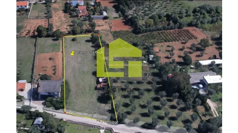 Terreno para Venda em Cernache