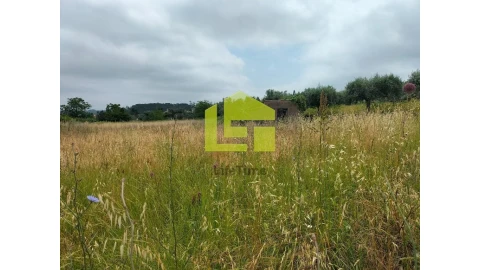 Terreno para Venda em Cernache