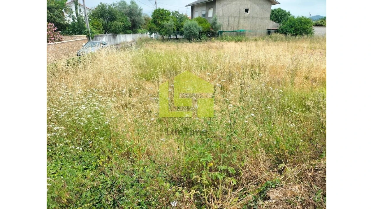 Terreno para Venda em Cernache Foto 11