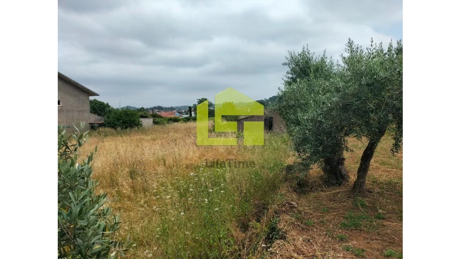 Terreno para Venda em Cernache Foto 10
