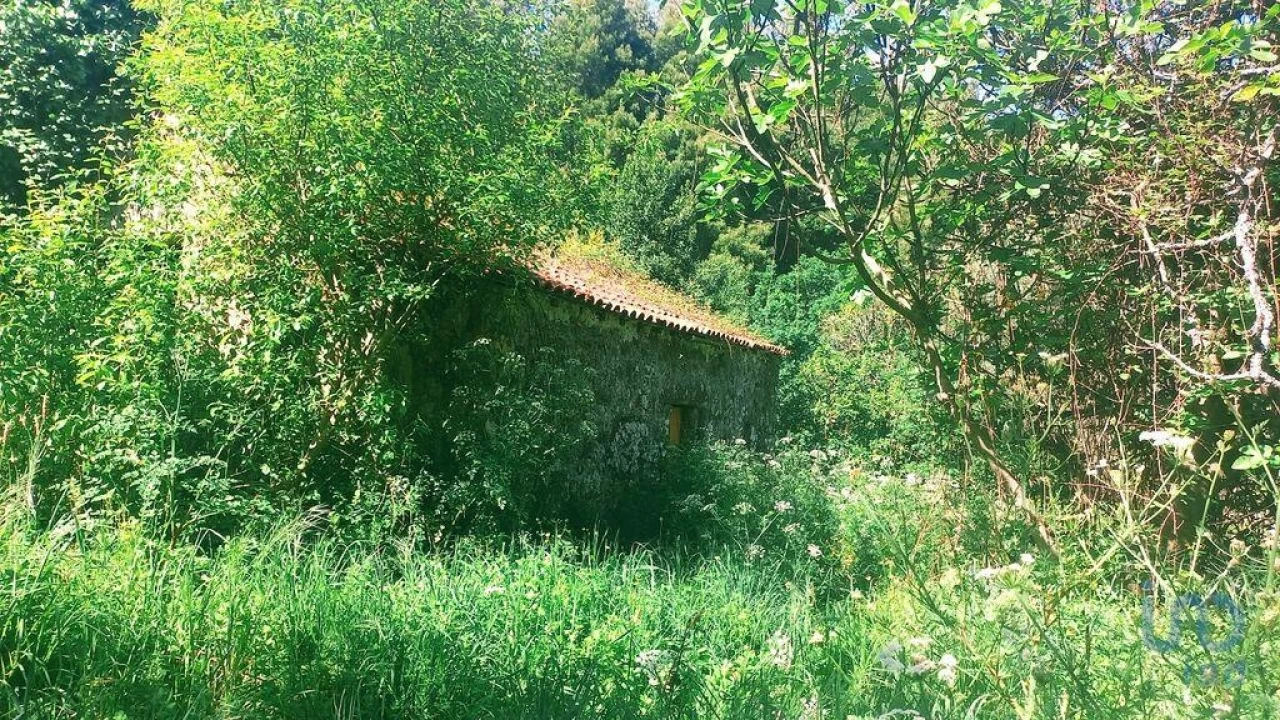 Moradia T3 para Venda em Facha Foto 14