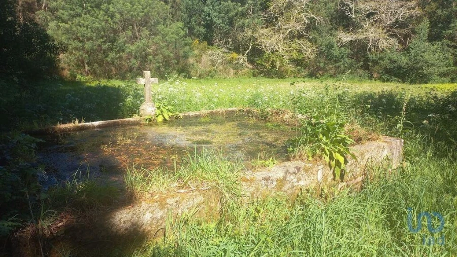 Moradia T3 para Venda em Facha Foto 13