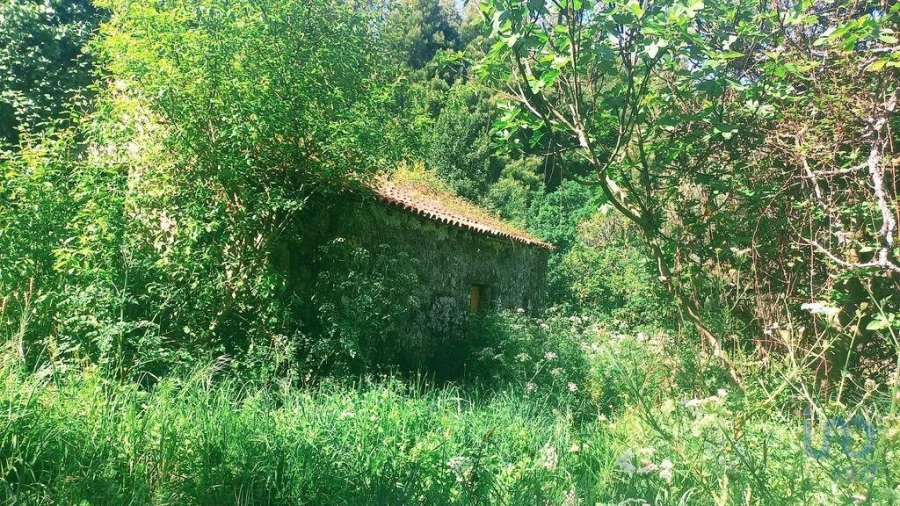 Moradia T3 para Venda em Facha Foto 14