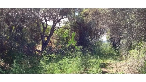 Terreno para Venda em São Bartolomeu de Messines