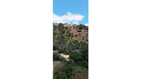 Terreno para Venda em São Bartolomeu de Messines