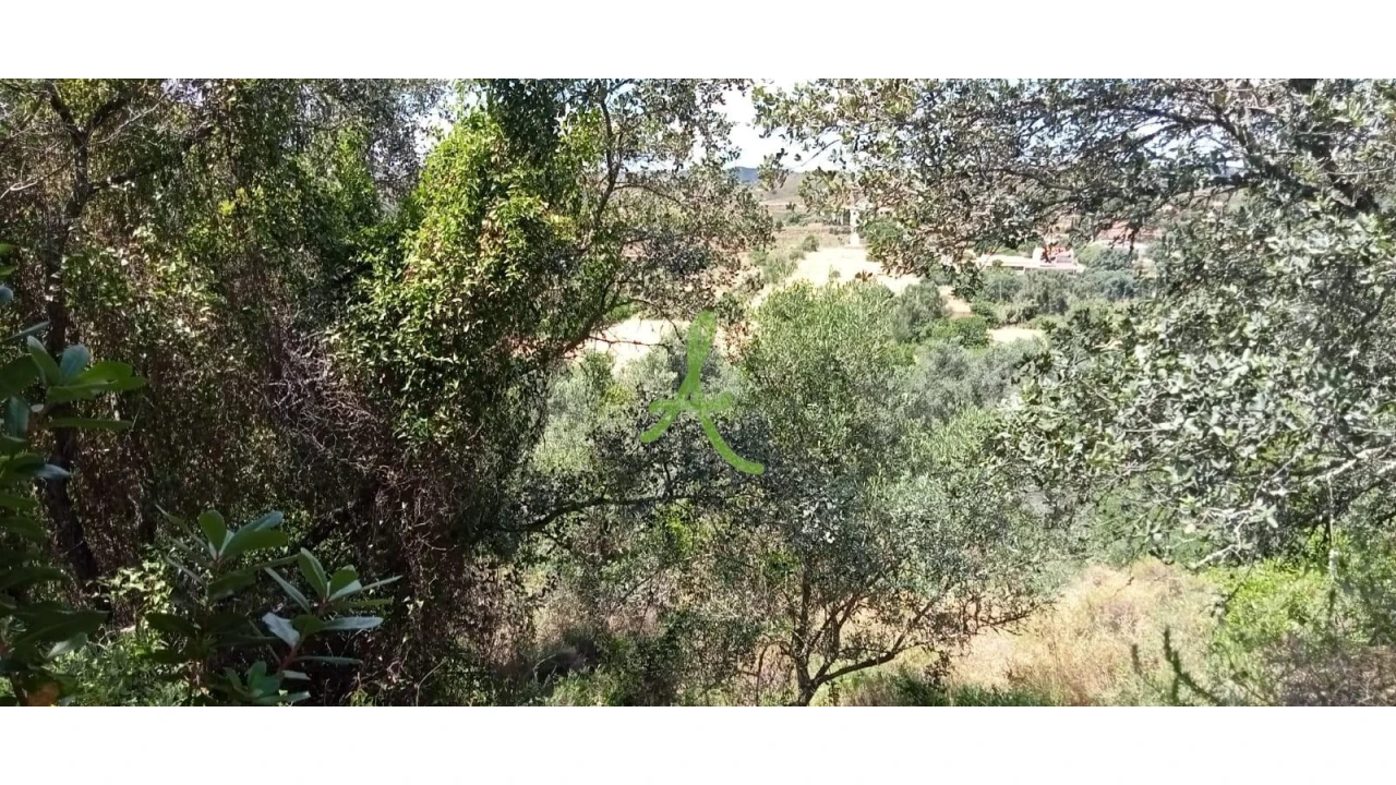 Terreno para Venda em São Bartolomeu de Messines Foto 4