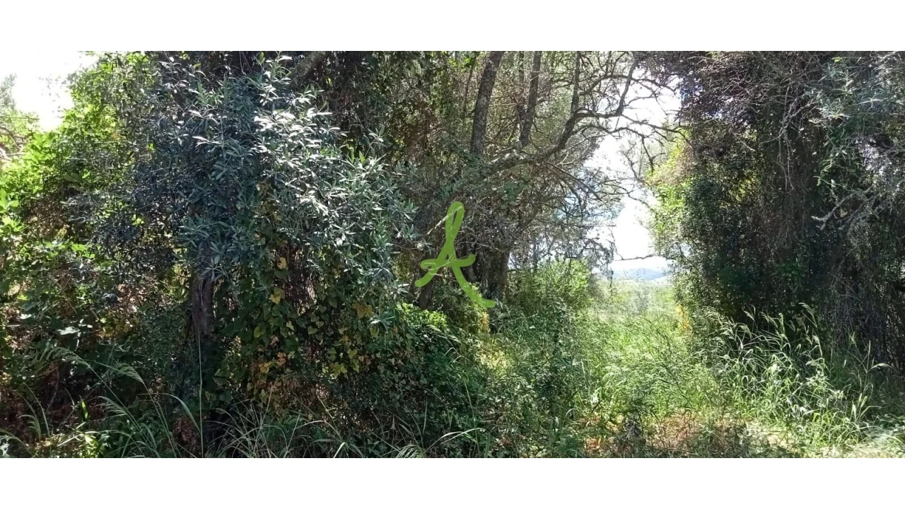 Terreno para Venda em São Bartolomeu de Messines Foto 7