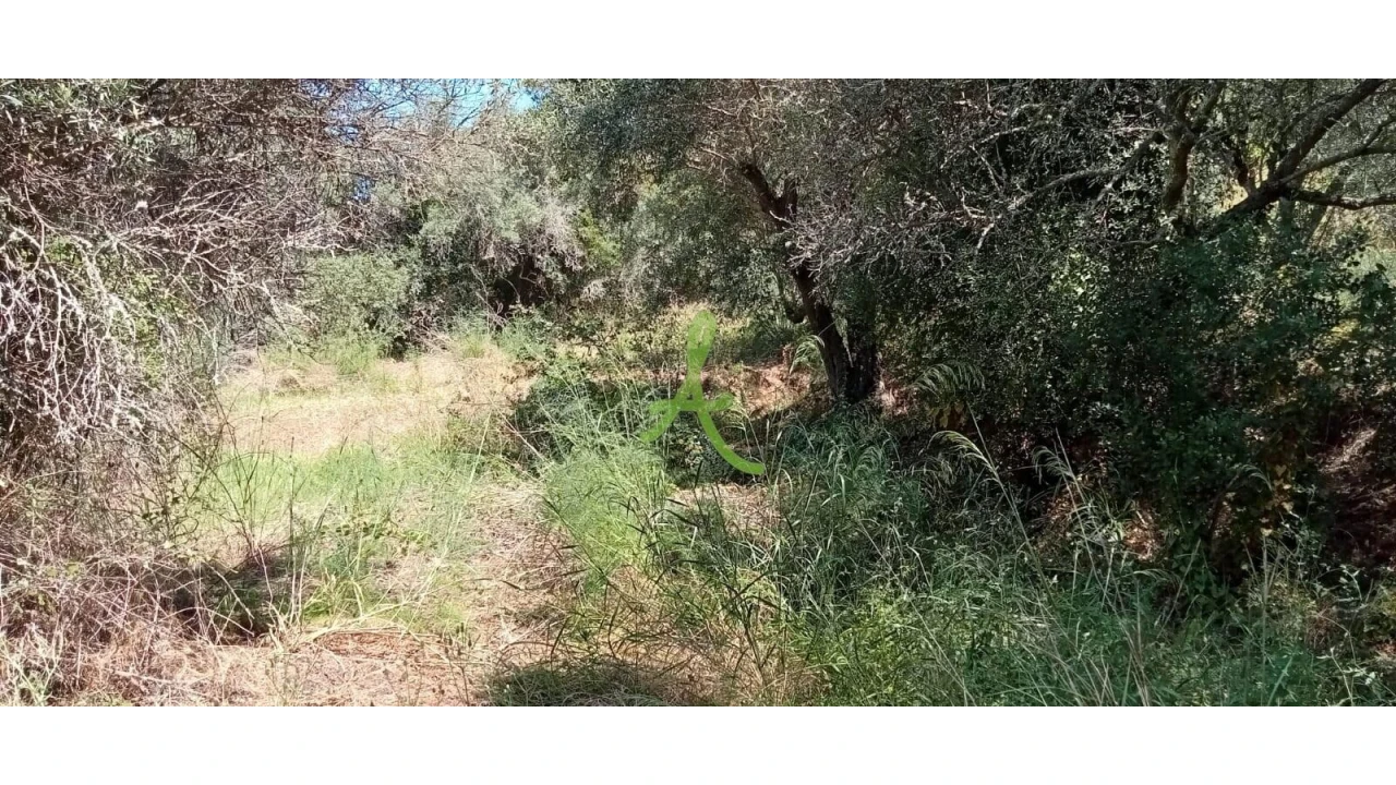 Terreno para Venda em São Bartolomeu de Messines Foto 1