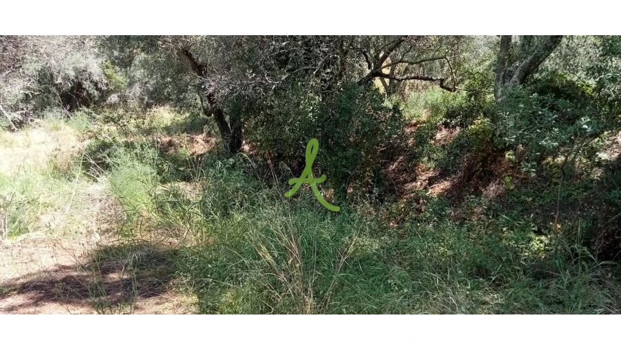 Terreno para Venda em São Bartolomeu de Messines Foto 2