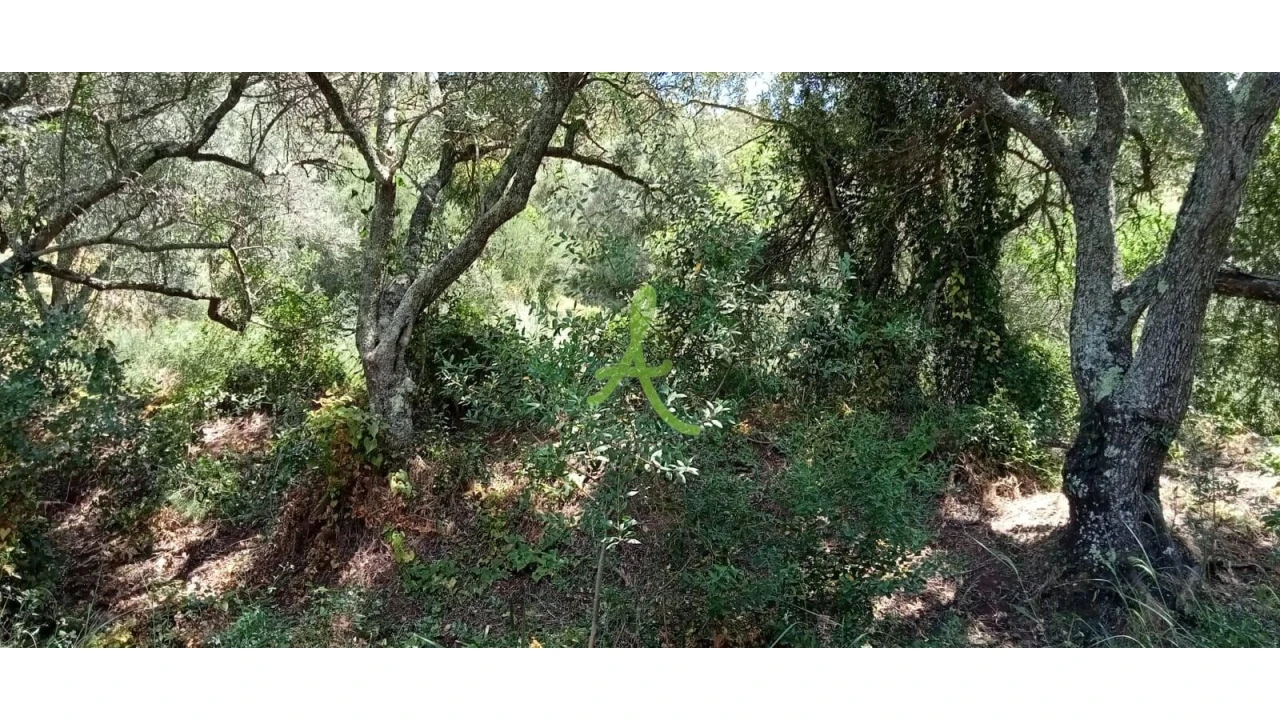 Terreno para Venda em São Bartolomeu de Messines Foto 5